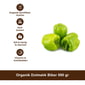 Organik Dolmalık Biber 500 gr