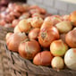 Organik Kuru Soğan 500 gr