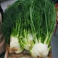 Organik Rezene Bağ - ( 1 kg - 1,3 Kg )