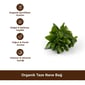 Organik Taze Nane Bağ