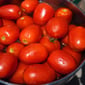 Yerli Salçalık Petemek Domates - 10 Kg