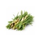 Çiriş Otu 500g