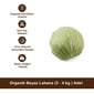 Organik Beyaz Lahana (3 - 4 kg ) Adet