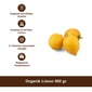 Organik Limon 500 gr