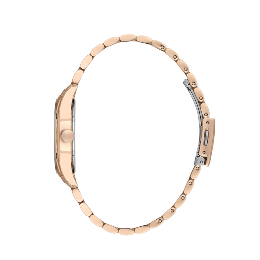 DK.1.13608.5 DK.1.13608.5