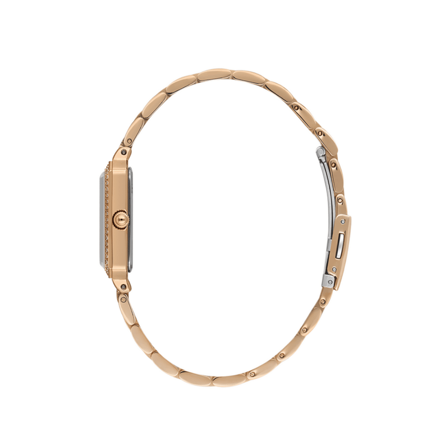 Daniel Klein, DK.1.13970.05, Kadın Saat, Daniel Klein DK.1.13970.05 Kadın Kol Saati