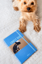 KÖPEK TEMALI DEFTERKöpek Dünyası Journal Düz