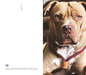 KÖPEK TEMALI DEFTERKöpek Dünyası Journal Düz