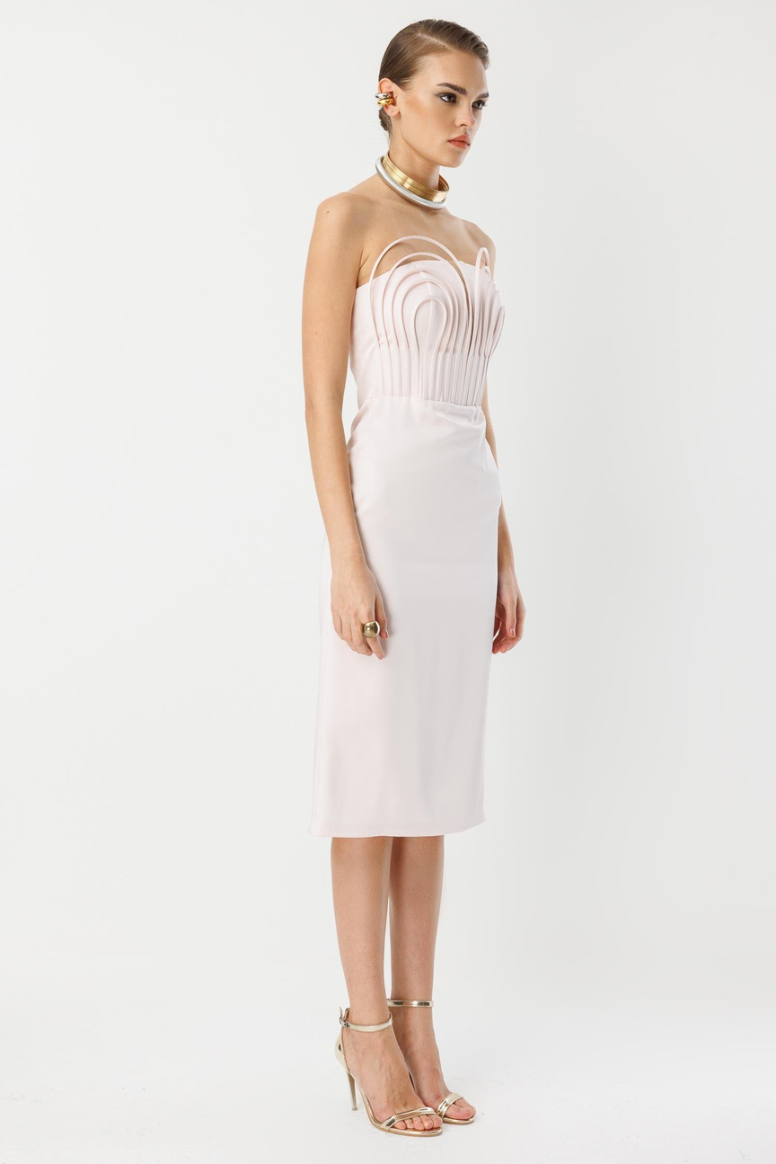 Underwire Midi Length Strapless Dress PUDRA