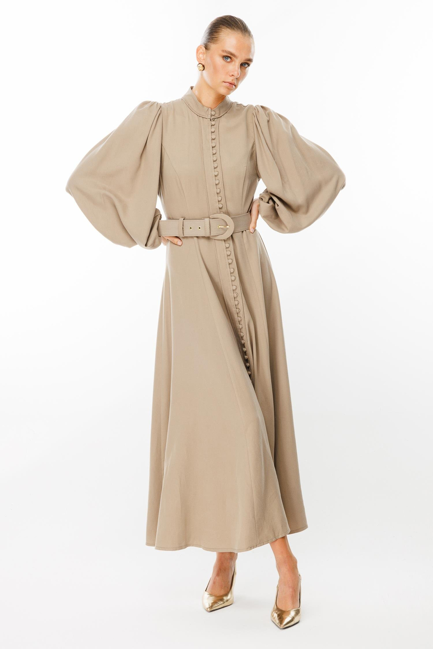 Birit Buttoned Balloon Sleeve Dress