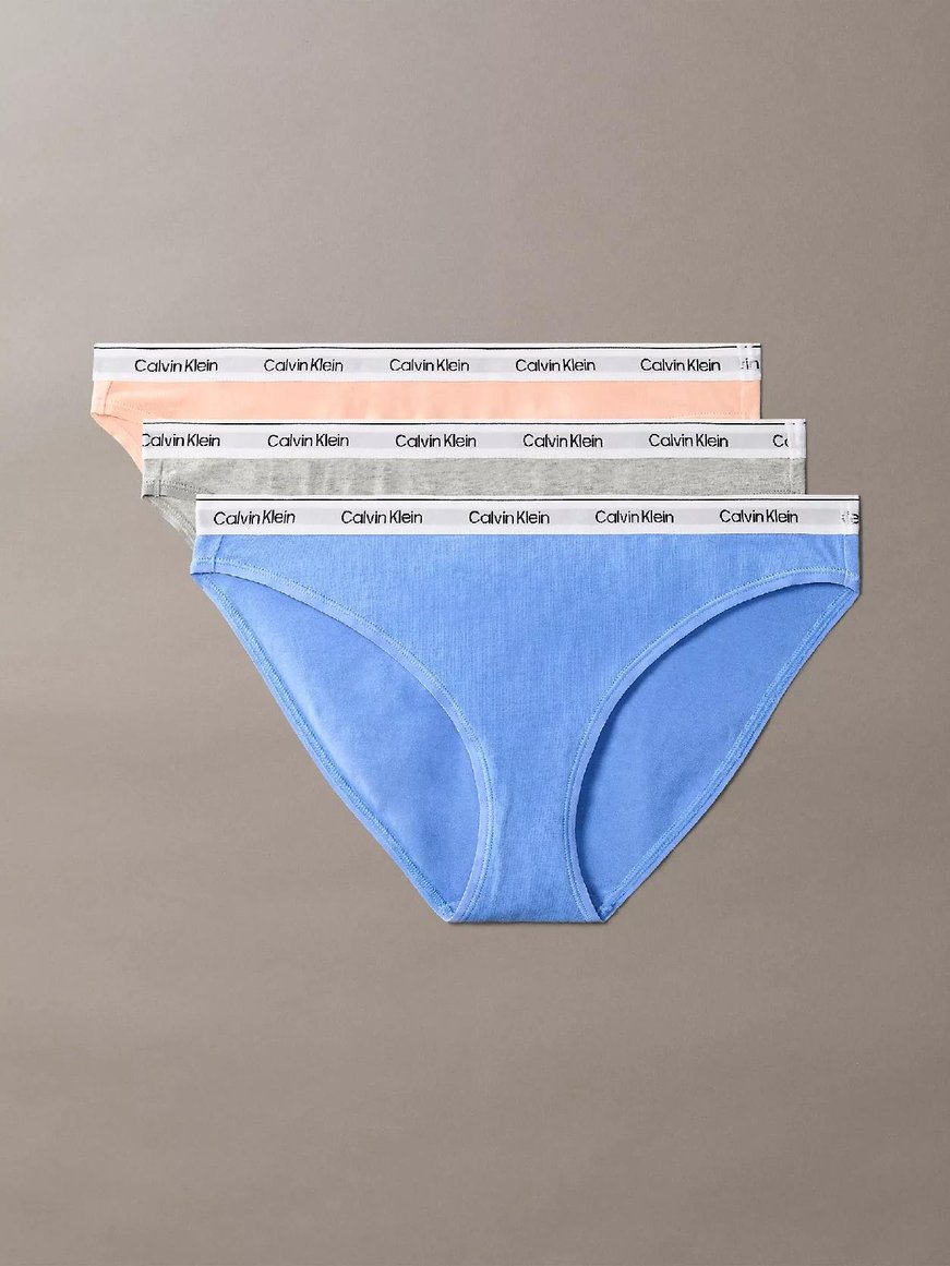 Calvin Klein Calvin Klein Kadın Marka Logolu Rahat Kesim Mavi-Gri Külot 000QD5207E-W9G
