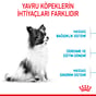 Royal Canin Xsmall Pupy 3Kg