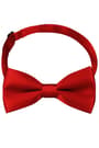 Red Satin Adjustable Bowtie for Baby and Kids