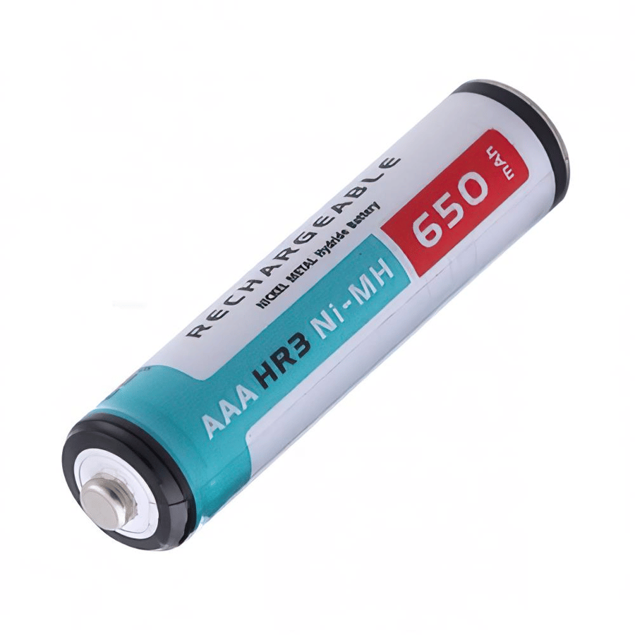 Orion AAA 1.2V 650mAh Ni-MH 2'li Paket Pil 