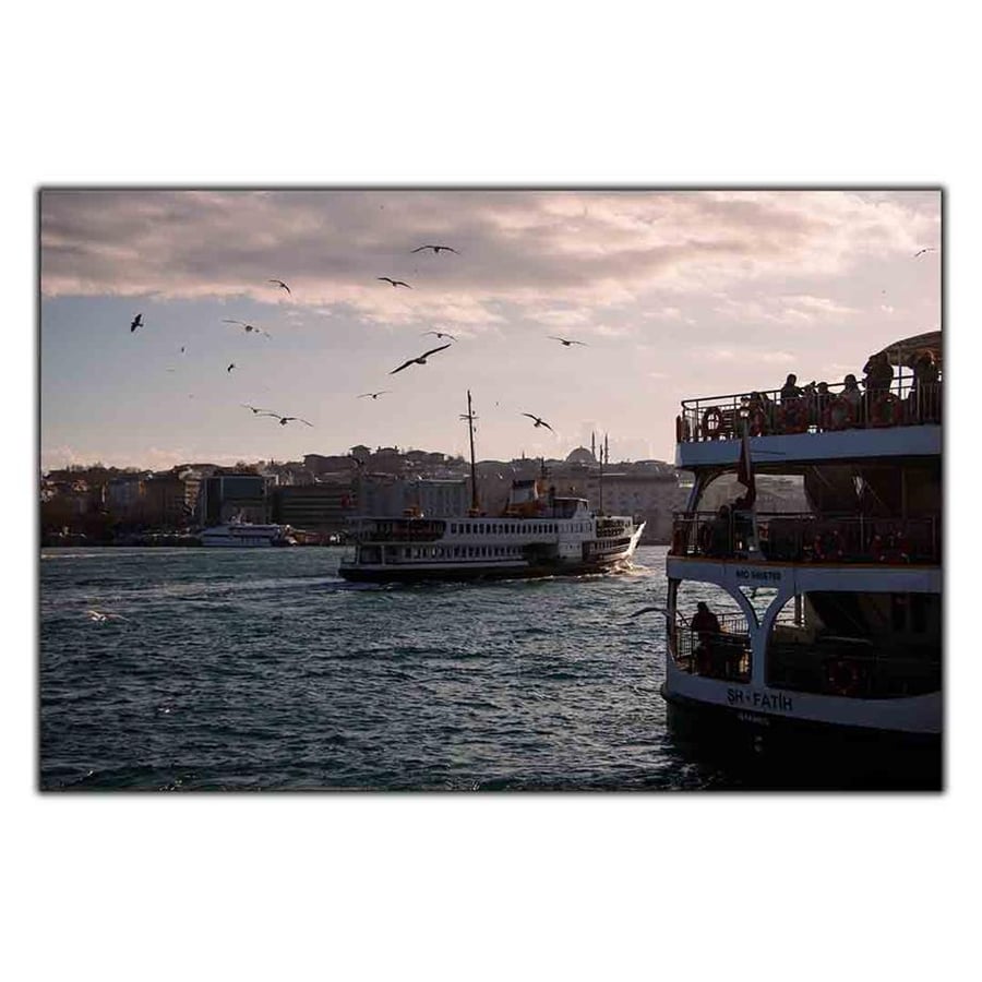 İSTANBUL MANZARASI VE MARTILAR KANVAS TABLO ürününe, KANVAS TABLOLAR kategorisinden hemen satın alabilirsiniz.