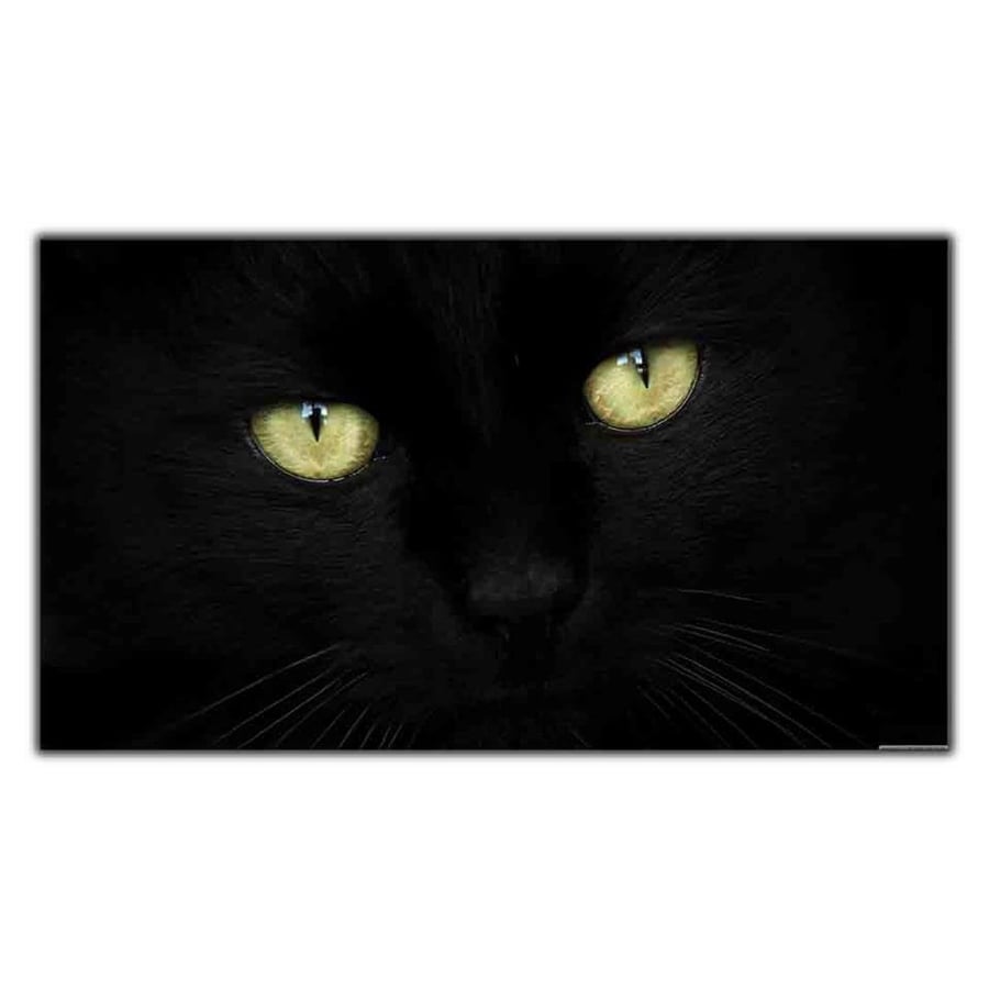 YEŞİL GÖZLÜ BOMBAY KEDİ KANVAS TABLO ürününe, KANVAS TABLOLAR kategorisinden hemen satın alabilirsiniz.