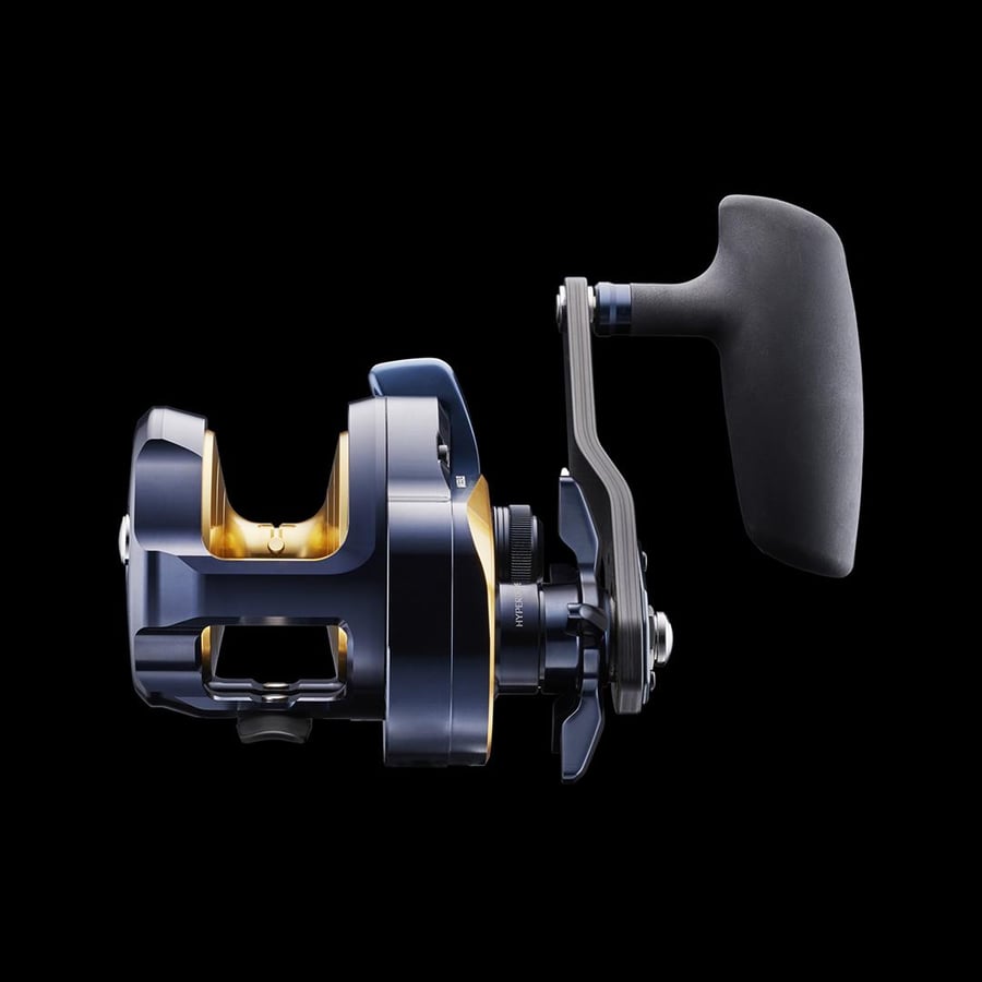 Baitcasting & Çıkrık Makineleri Daiwa Saltiga 2024 15 L Çıkrık Makara