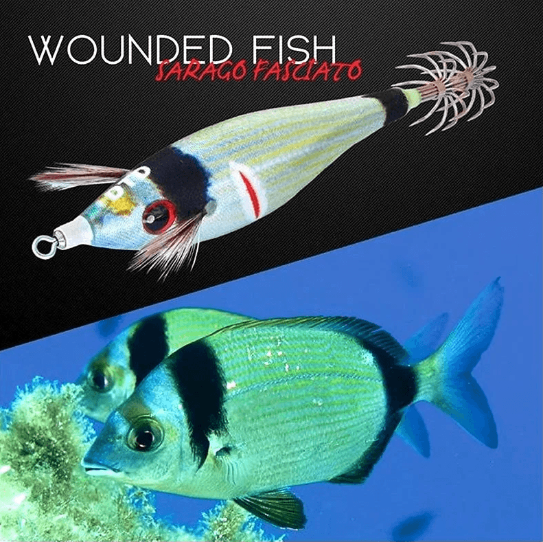 Dtd Wounded Fish Bukva 2.5 Kalamar Zokası - NATURAL COMBER Kalamar Zokaları