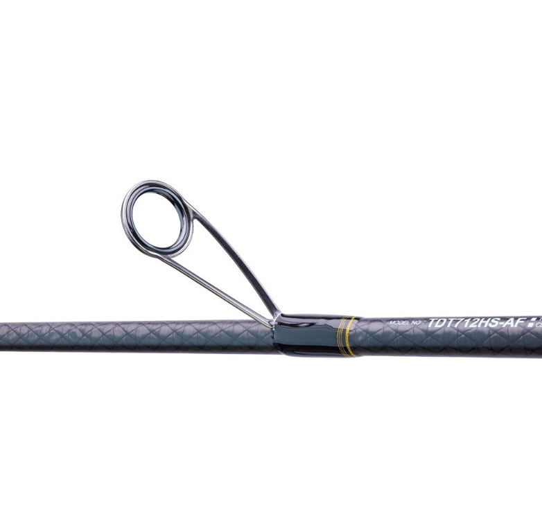 Spin Kamışları Team Daiwa Tenya SP 1.92M Max 300GR 2P Kamış