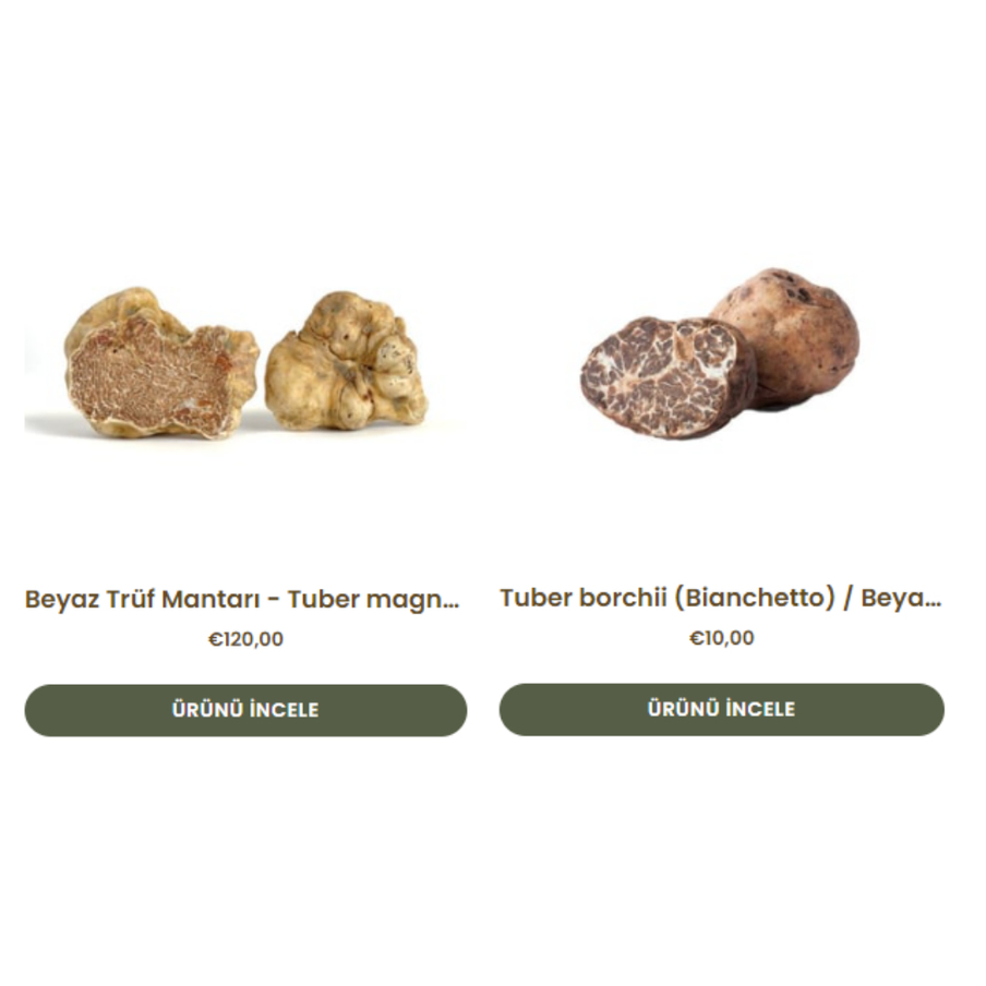 tuber magnatum, tuber borchii