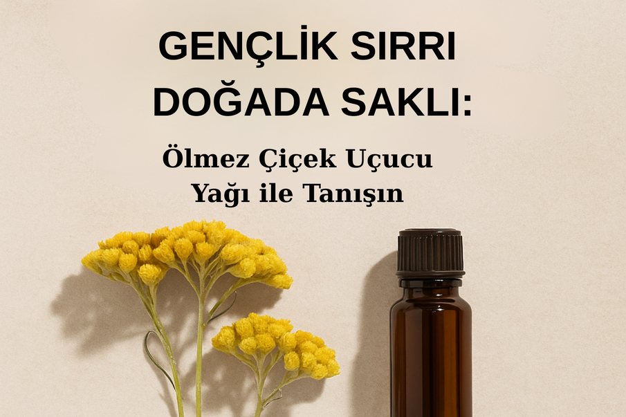Ölmez Çiçek Uçucu Yağı ile Tanışın