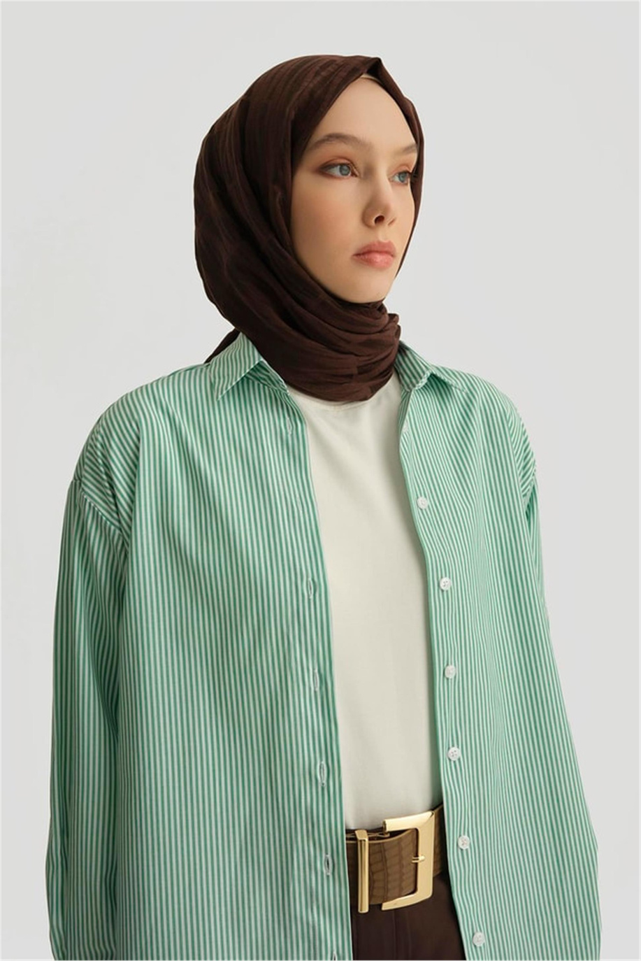 Çizgili Gömlek Yeşil - 25YH3666