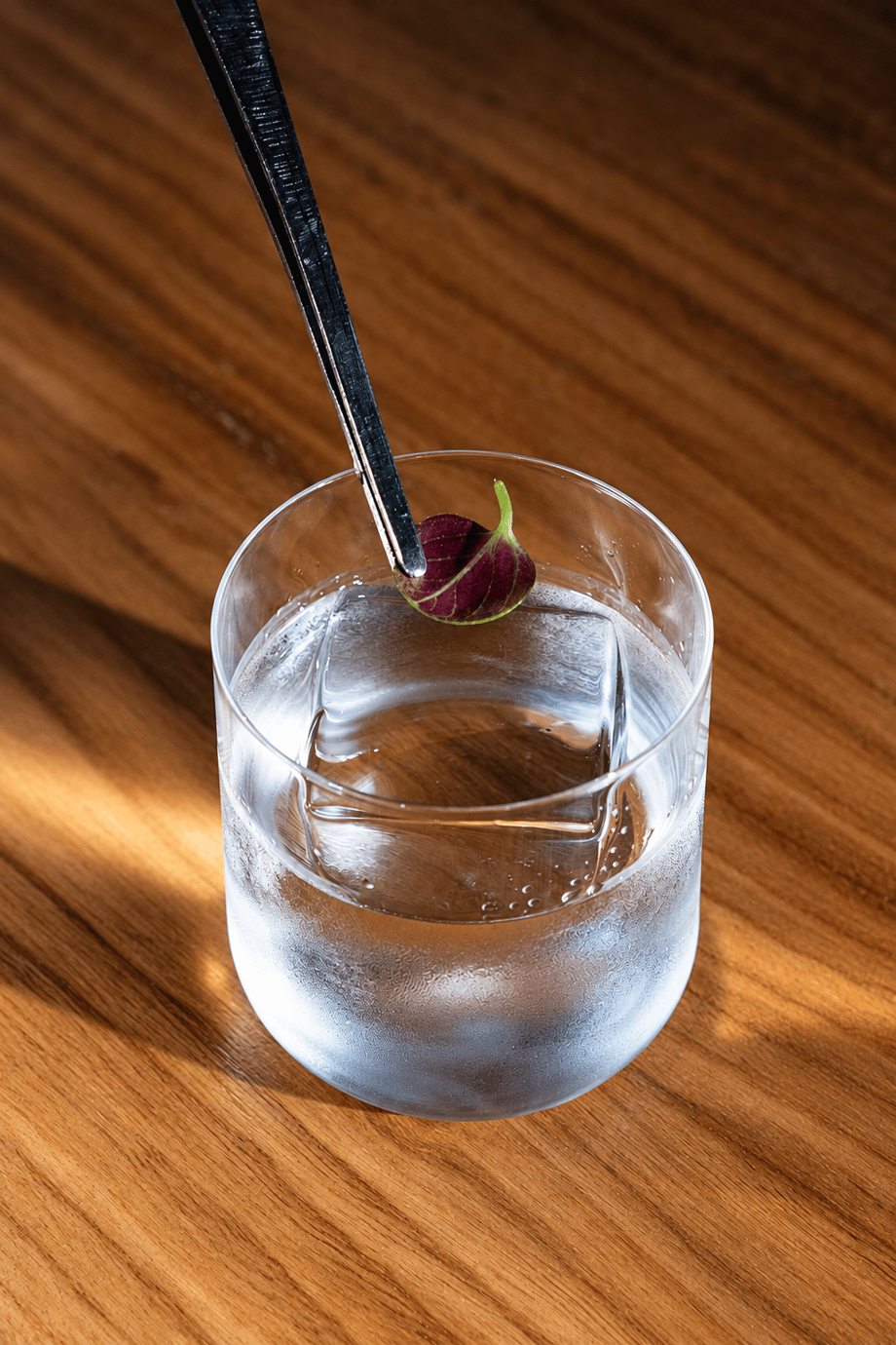 Crystal Şeffaf Buz Yapıcı