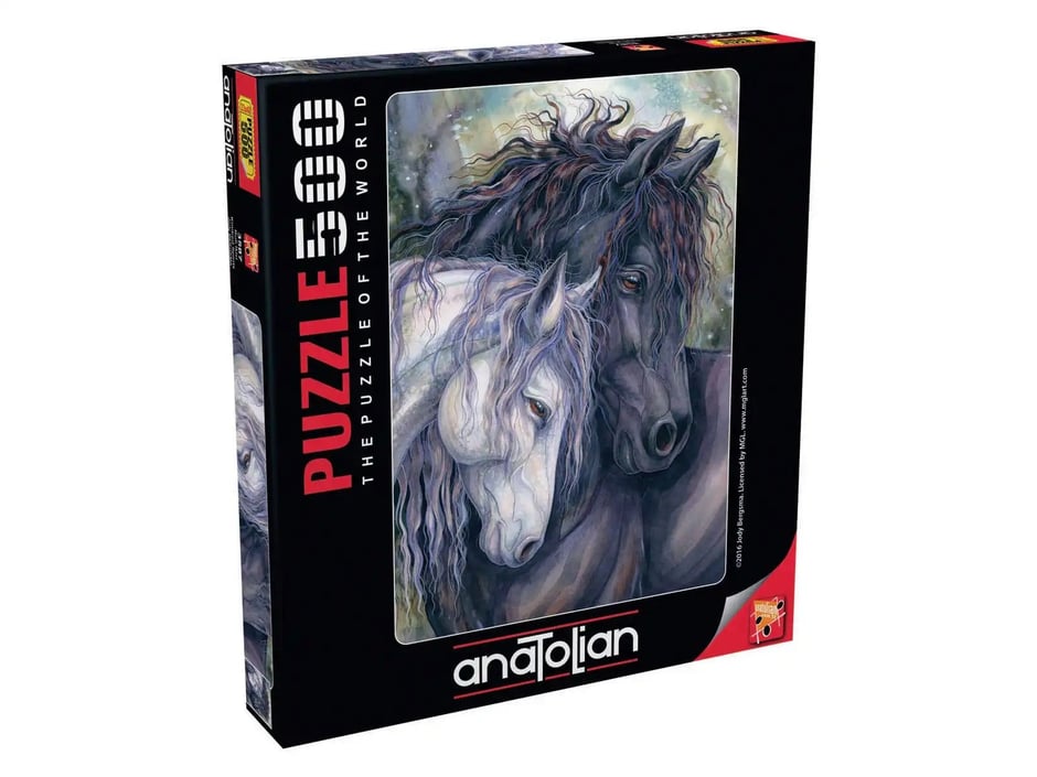 Ruh İkizi  - 500 Parça Puzzle - 3587