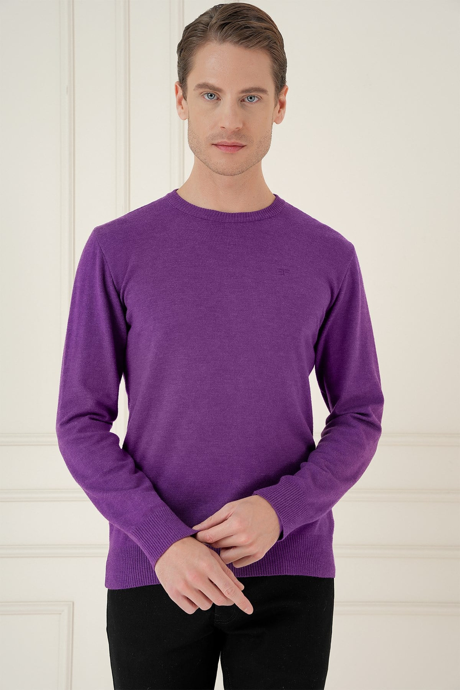 Slim Fit Ribanalı Düz Mor Yünlü Bisiklet Yaka Triko Kazak TR 875
