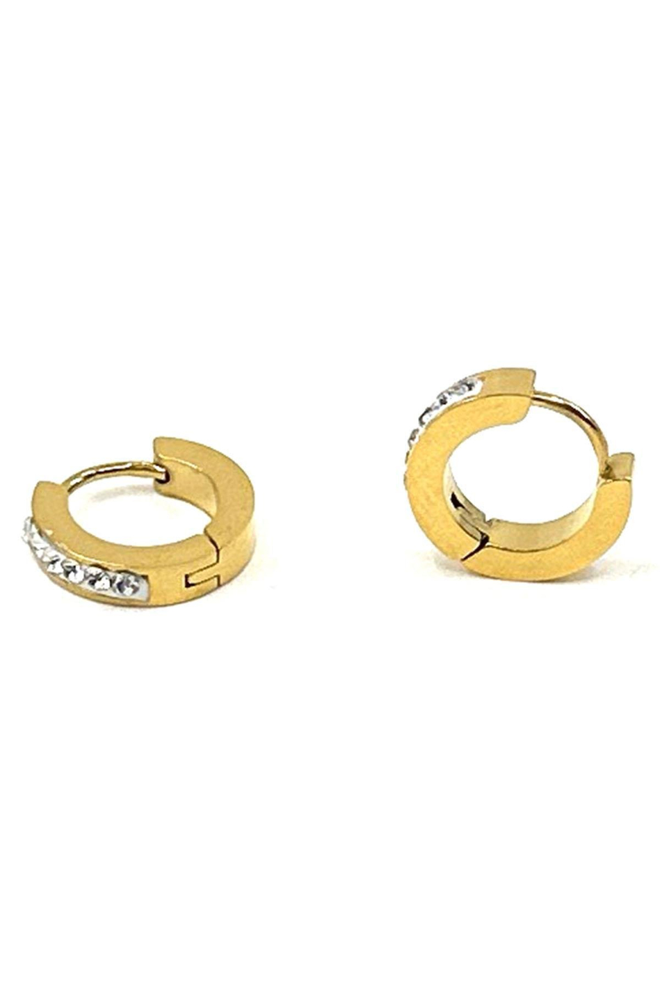 Altın Renk Taşlı Yuvarlak Küpe EAR24