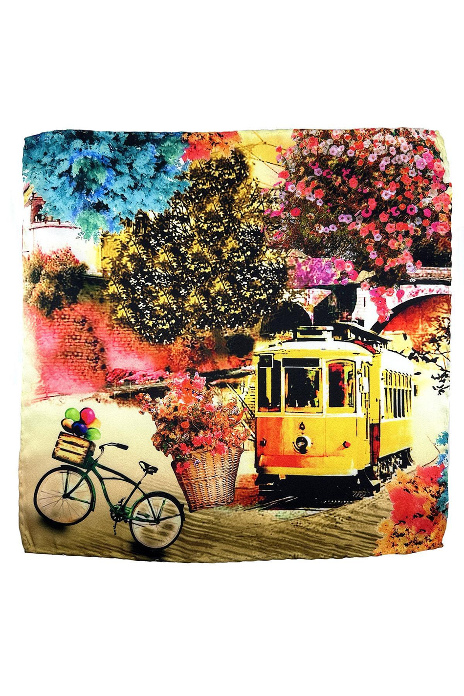 Çok Renkli Motif Desen Erkek Cep Mendili SPS633-113