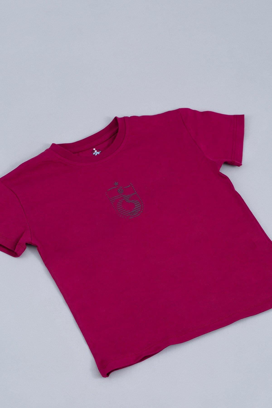 tshirt-logo-baskili-c-fb07.jpg