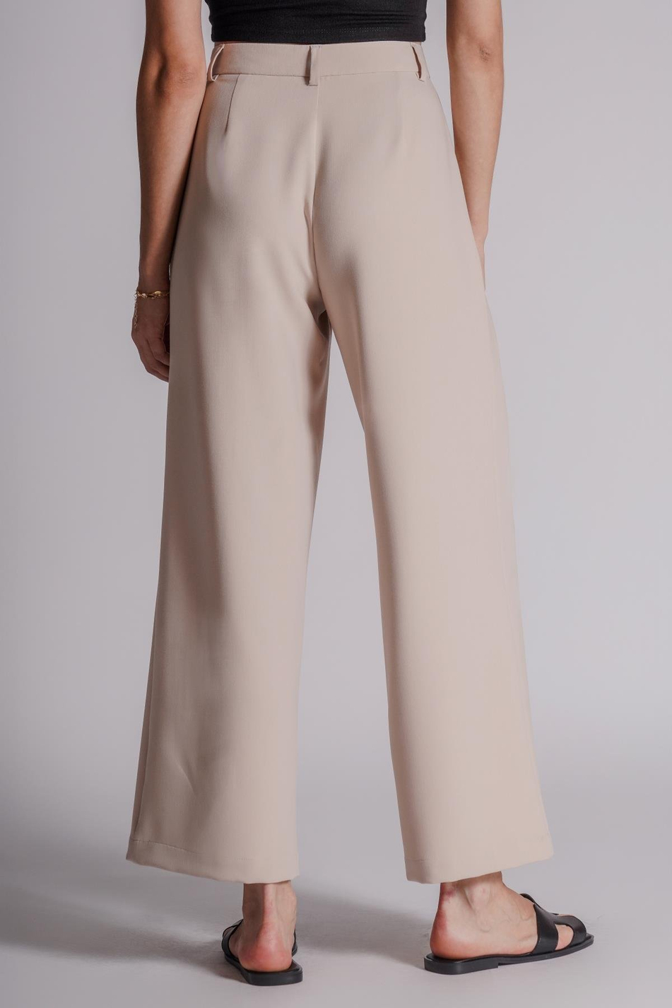 Kadın Yandan Cepli Fermuar ve Agraf Kapamalı Relaxed Fit Pantolon Taş