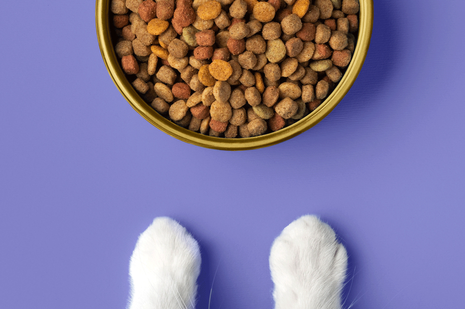 7 Etkili İpucu ile Online Hypoallergenic Kedi Maması Seçimi