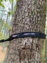 Siyah straps 