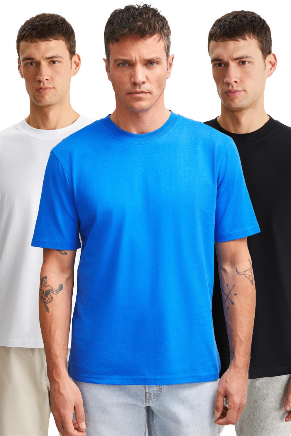 CULTIVATED Erkek 3'Lü Kalın Dokulu Regular %100 Organik Pamuk Syh-Byz-Saks T-Shirt
