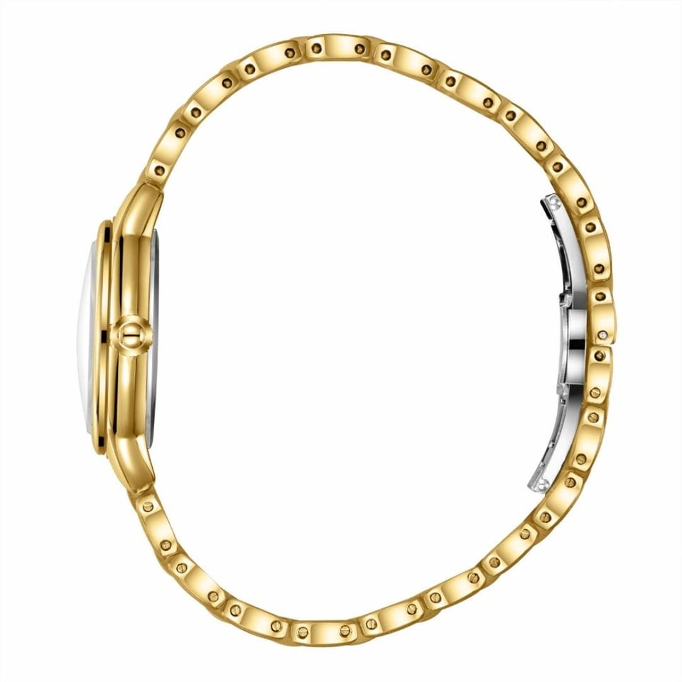 Bekleyen Urun Katalogu Essence Essence ES6970FE.170 Kadın Kol Saati