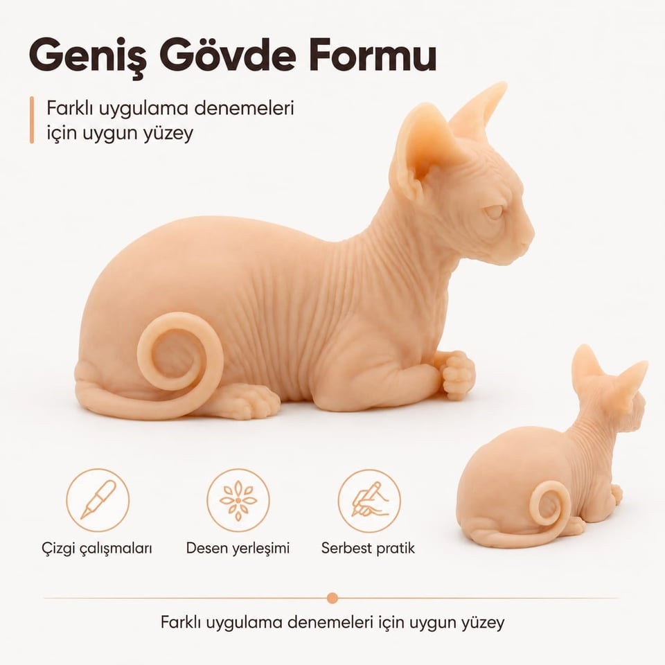 3D Kedi Şeklinde Dövme Deneme Derisi