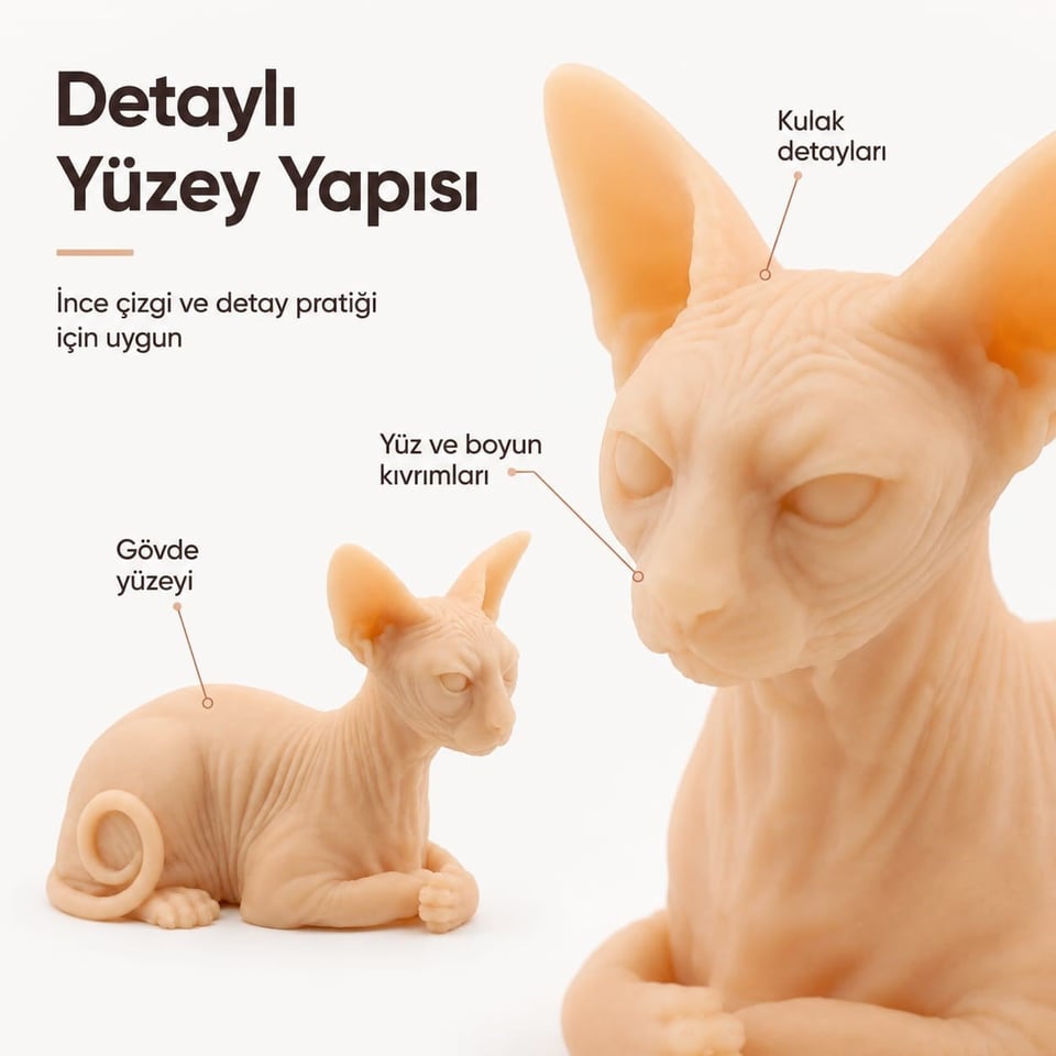 3D Kedi Şeklinde Dövme Deneme Derisi