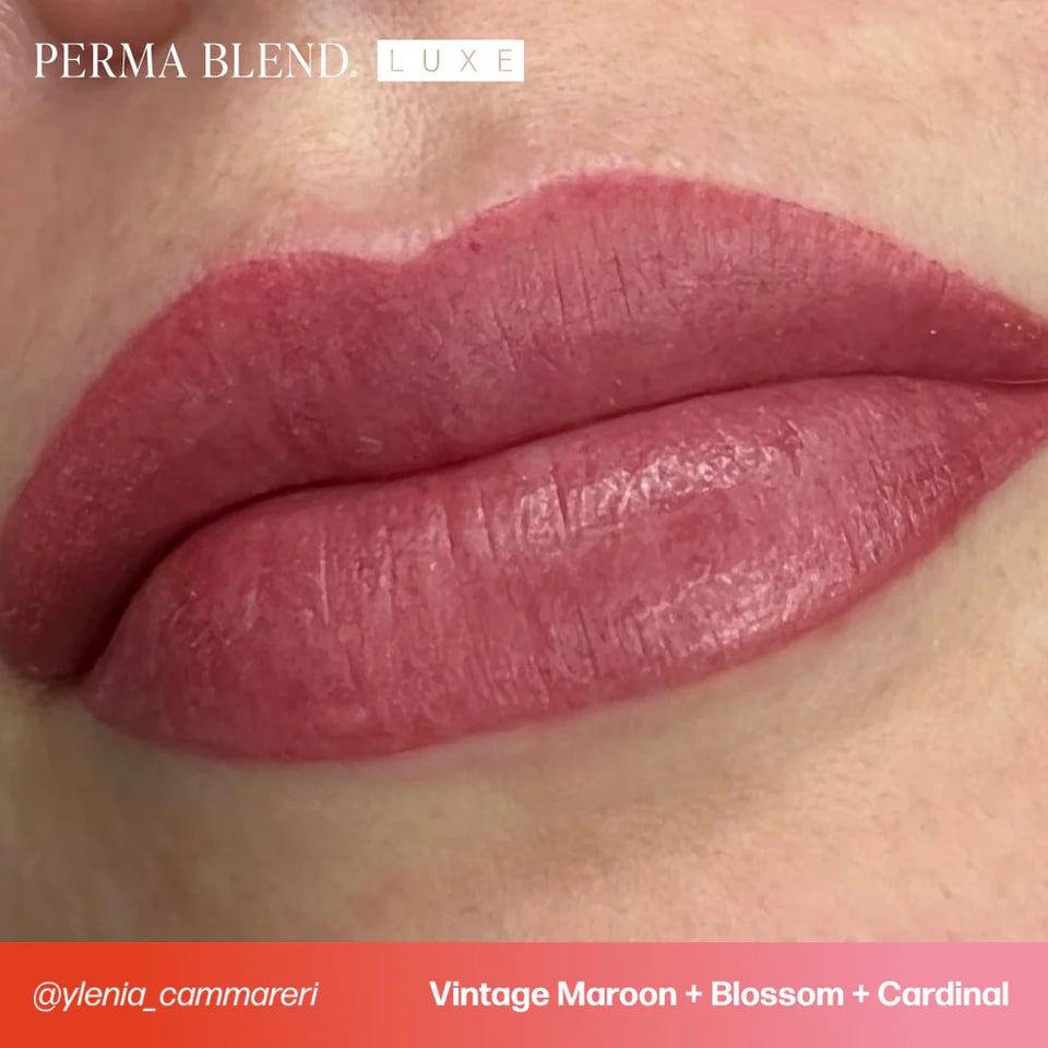 Perma Blend Luxe Vintage Maroon Kalıcı Makyaj Dudak Pigmenti 15ml