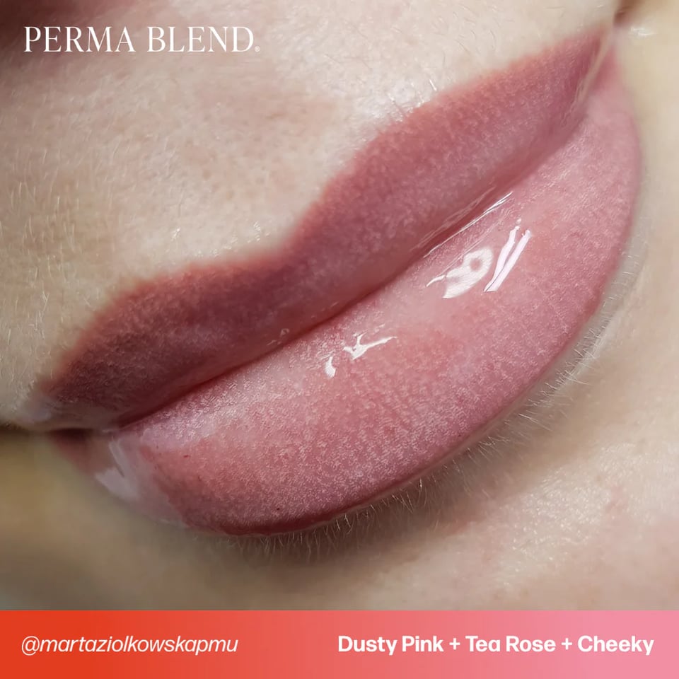Perma Blend Tina Davies Dusty Pink Kalıcı Makyaj Dudak Pigmenti 15ml