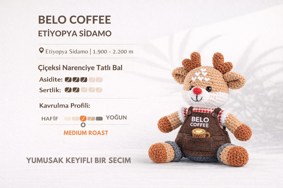 Etiyopya Sidamo 250 Gram Çekirdek Kahve
