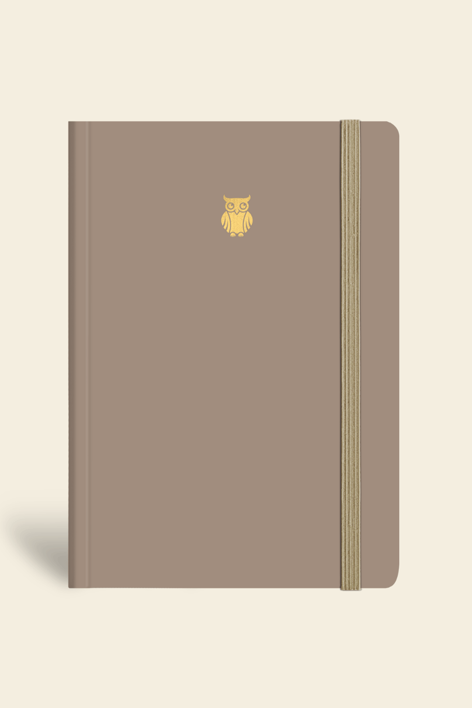 Minimal Defter Çizgili Vizon 17x24cm 