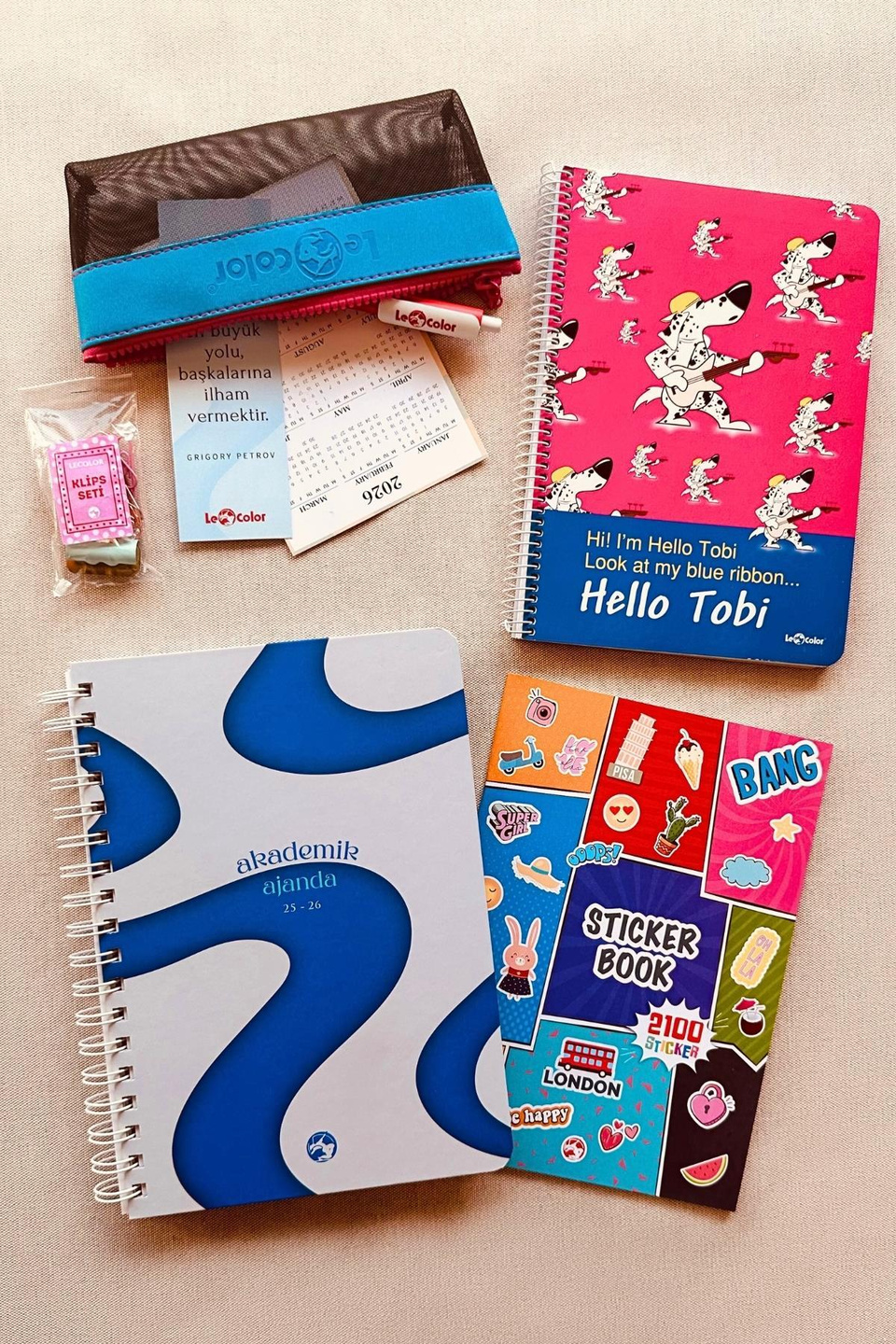 Akademik Ajanda Wave + Kareli A5 Defter + Sticker Book + Klips + Kalem Kutu + Kalem + Kitap Ayracı + Takvim 