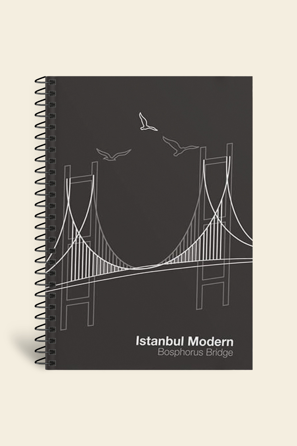 İstanbul Modern Defter Çizgili Köprüİstanbul Modern Defter Çizgili Köprü