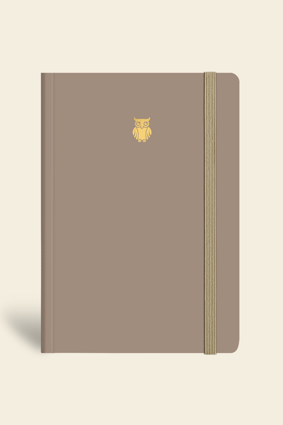 Minimal Defter Çizgili Vizon 17x24cm 