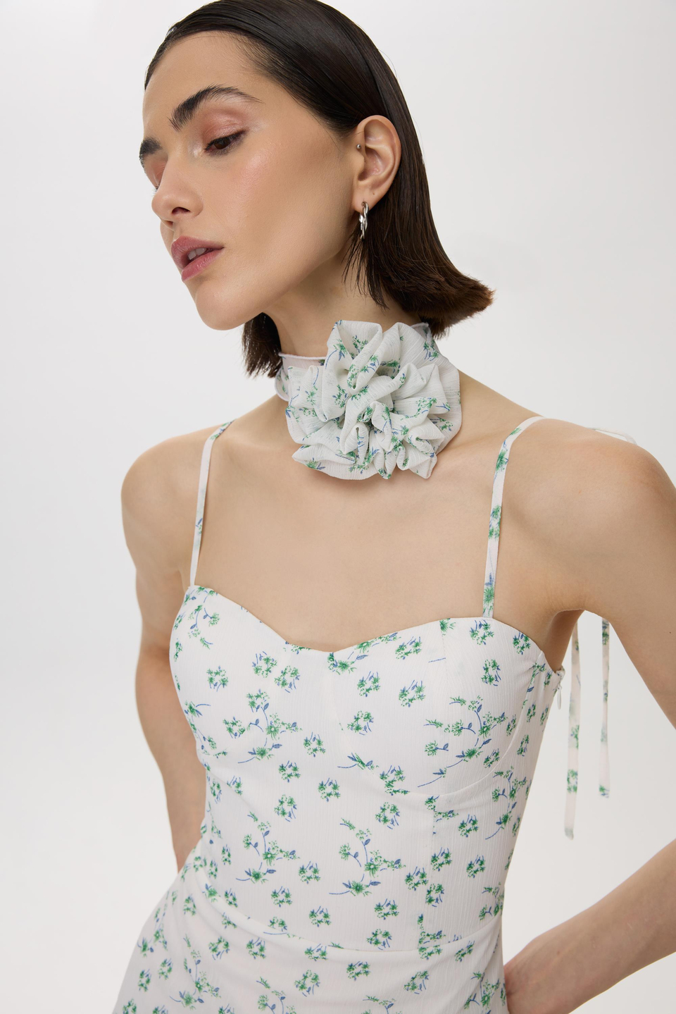 MOONLIT GARDEN DRESS