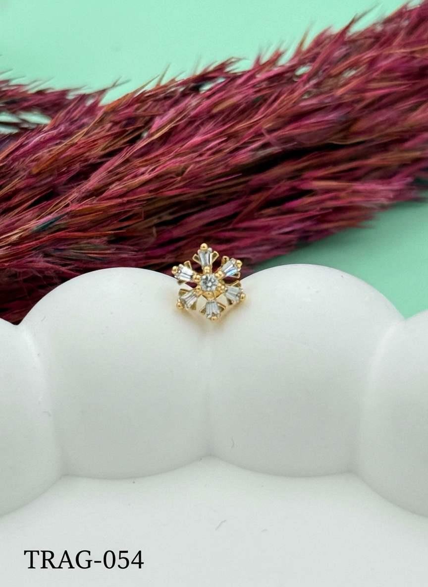 Çelik Tragus // TRAG-054.TRAG-054