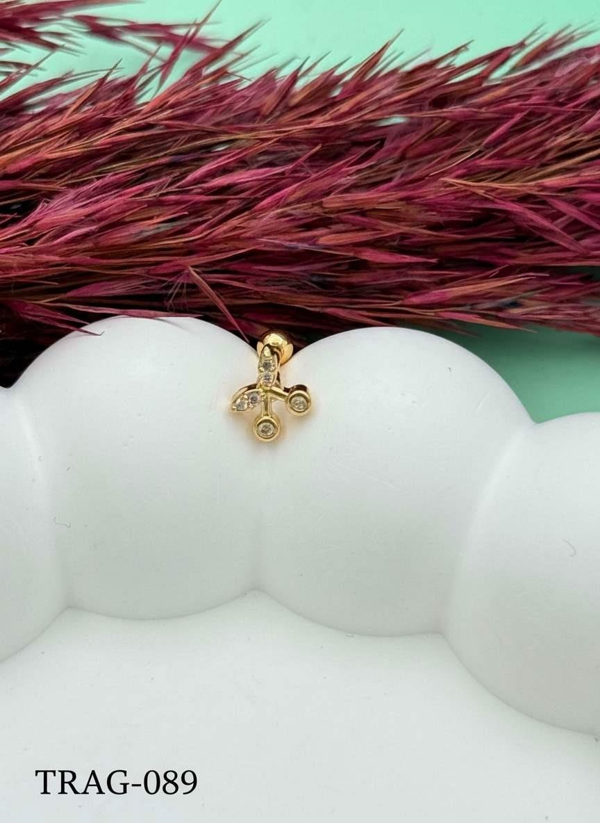 Çelik Tragus // TRAG-089.TRAG-089