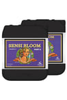 Advanced Nutrients PH Perfect Sensi Bloom Part A-B 5 Litre Bitki Besini